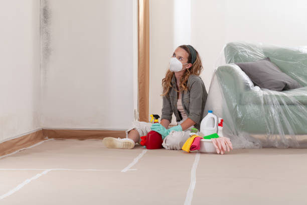 Reliable Basement Mold Remediation contractor in McKinney, TX by Car Mold Remediation